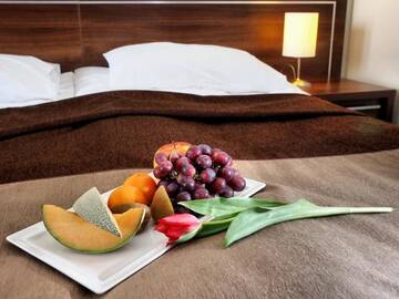 Фото номера Одноместный номер Отель Hotel Austeria Conference &amp; Spa г. Цехоцинек 6